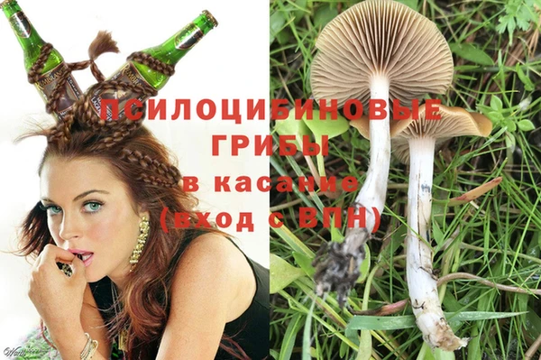 ГАЛЛЮЦИНОГЕННЫЕ ГРИБЫ Балахна