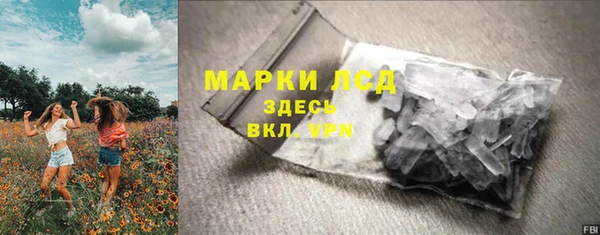 ГАЛЛЮЦИНОГЕННЫЕ ГРИБЫ Балахна